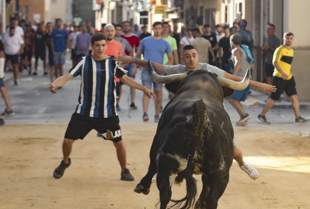 Despedida en imágenes de 2022 en el Camp de Morvedre.