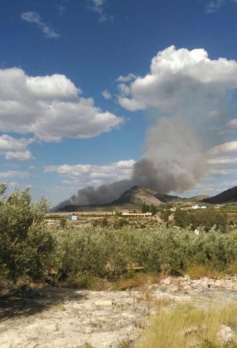 Incendio forestal en Terrateig