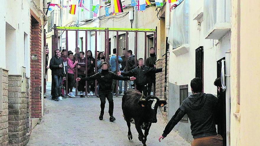 Insultan al público de los ‘bous’ en Segorbe y le muestran una navaja