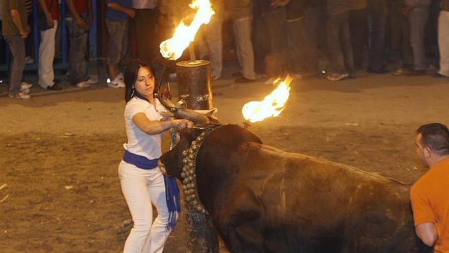 &#039;Toro embolado&#039; en las fiestas de Santa Quiteria en Almassora