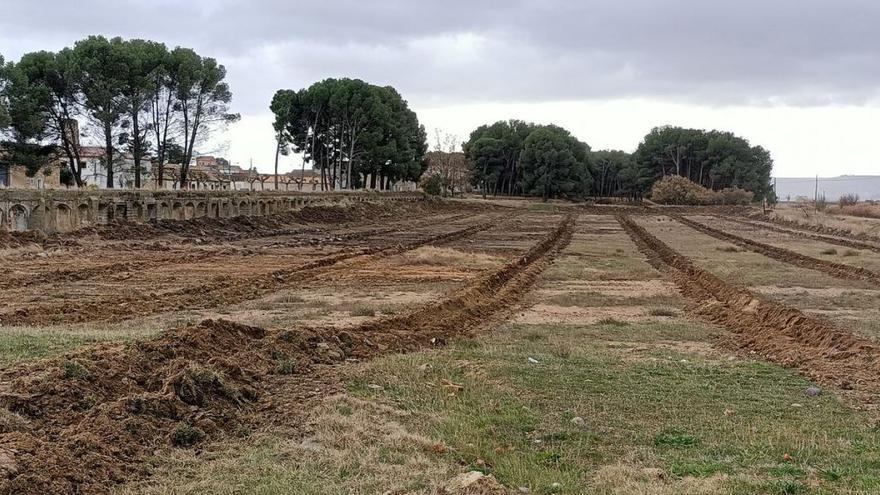 Ejea, uno de los cuatro municipios españoles con el sello Compenso