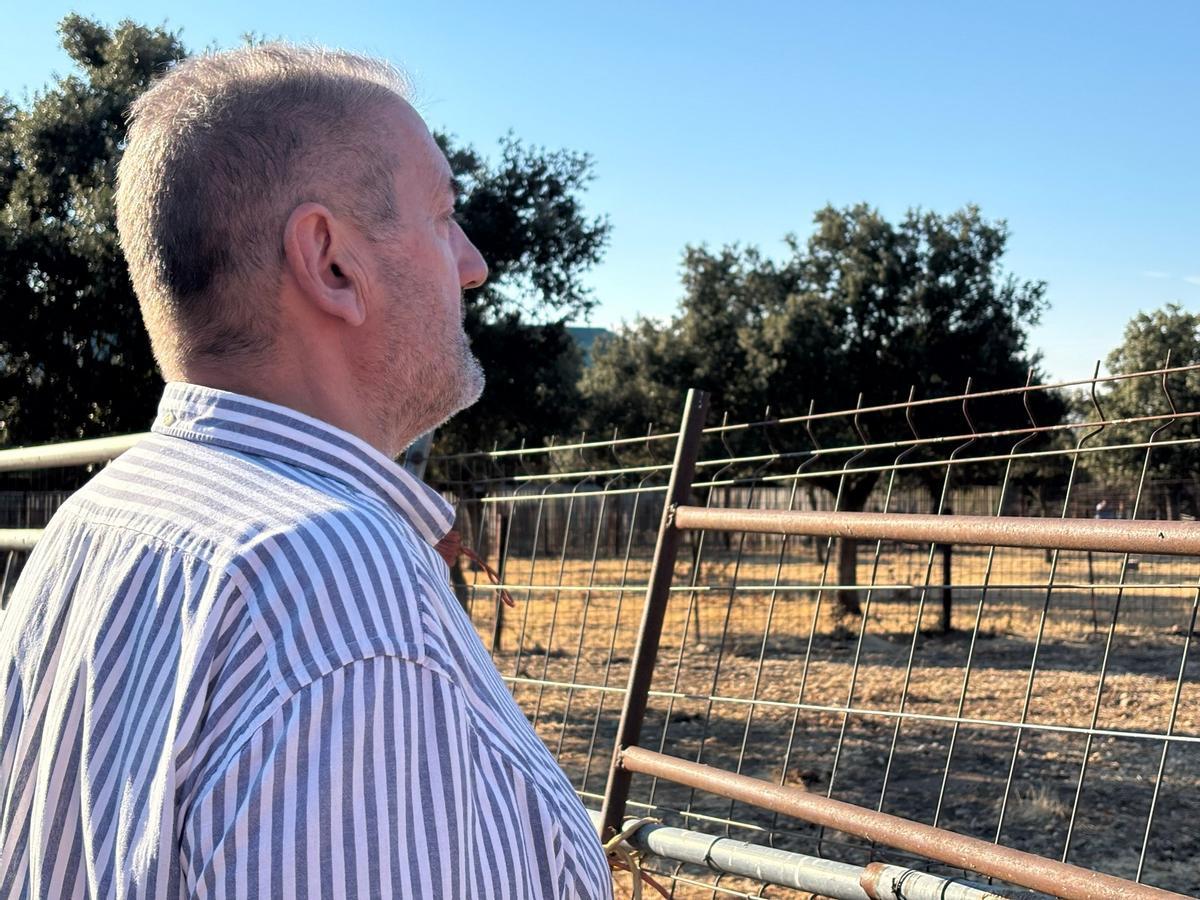 GALERÍA | Alumnos de la Escuela Taurina de Navas del Rey participan en una retienta en la ganadería Toros Villalpando