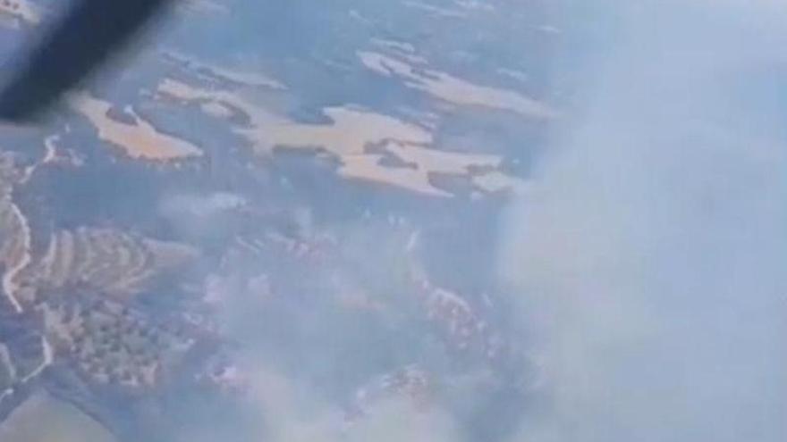 Vídeo | Incendio forestal en Hoz y Costean (Huesca)