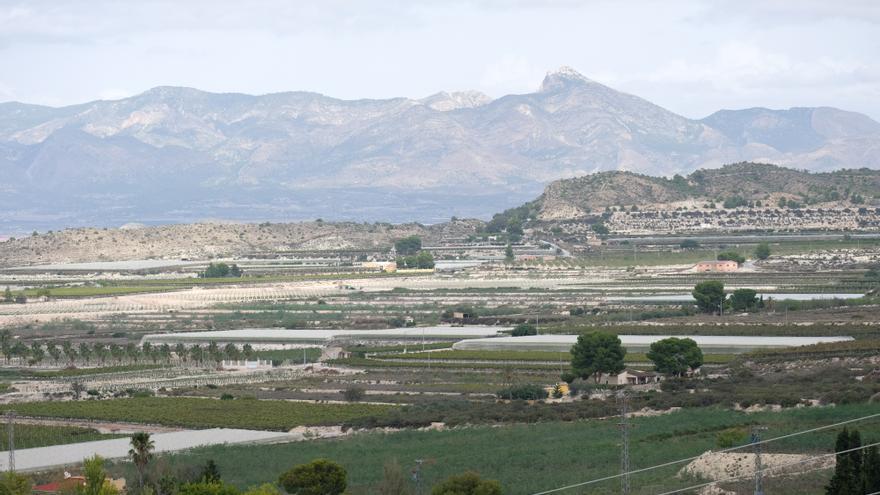 Los ecologistas alertan sobre la &quot;burbuja solar&quot; que amenaza el paisaje, la agricultura y el medioambiente en Alicante