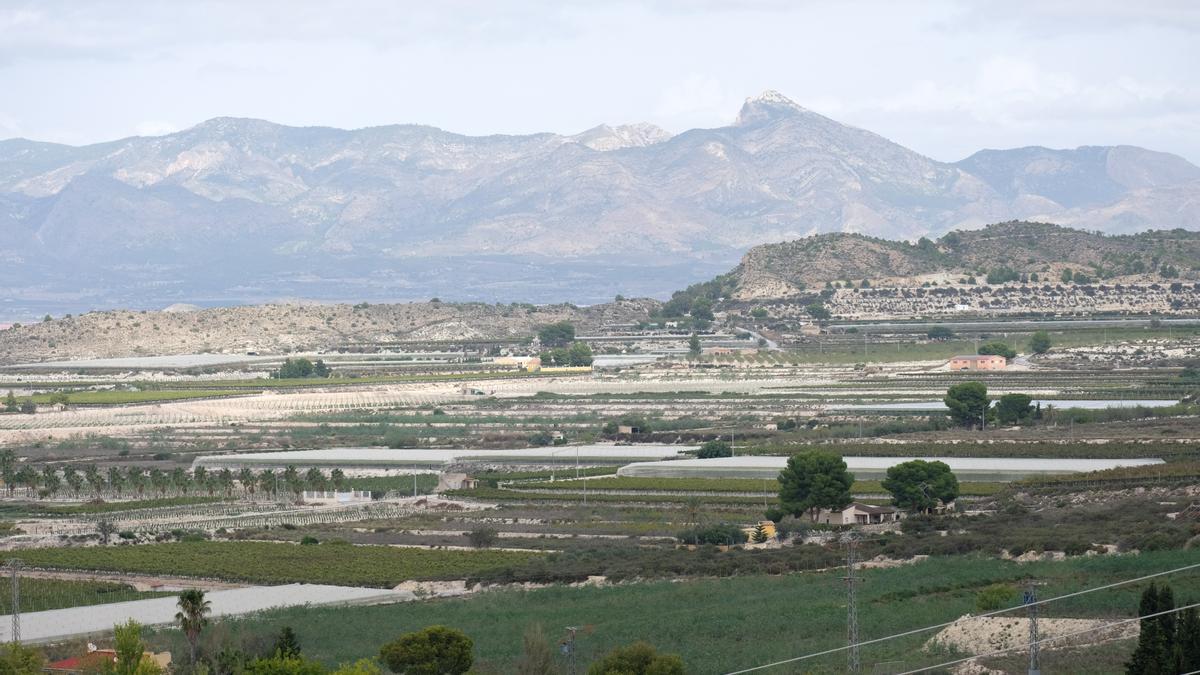 Los terrenos próximos a la sierra de las Águilas en Monforte del Cid donde coinciden los proyectos de cinco plantas solares.
