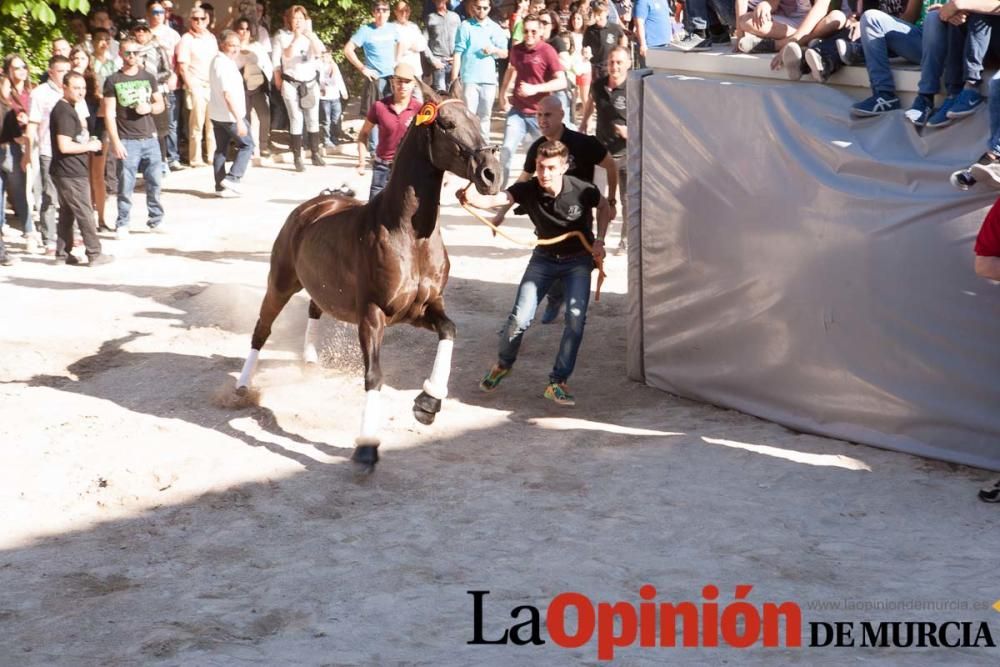 Día uno de mayo, entrada de caballos al Hoyo