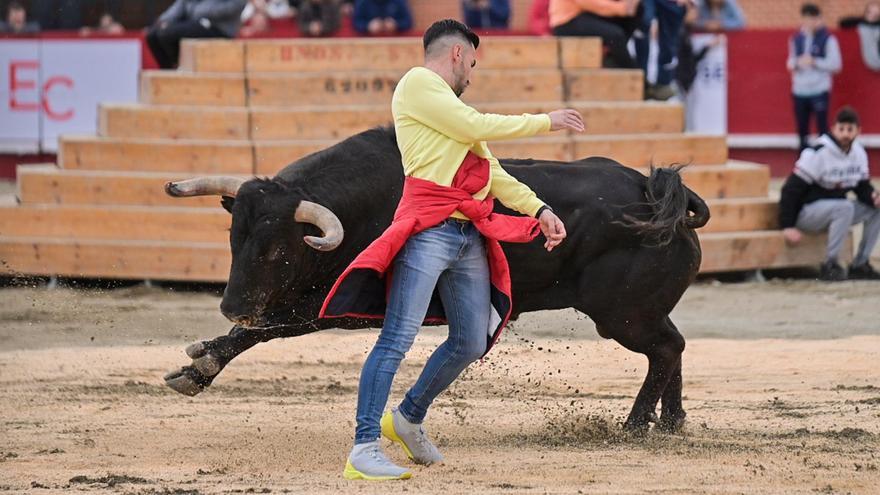 Foto de una de las exhibiciones de la Pascua Taurina de este año en Onda, que este fin de semana culmina su programación.