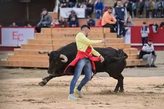 Los dos pueblos que hacen toros en Castellón este fin de semana