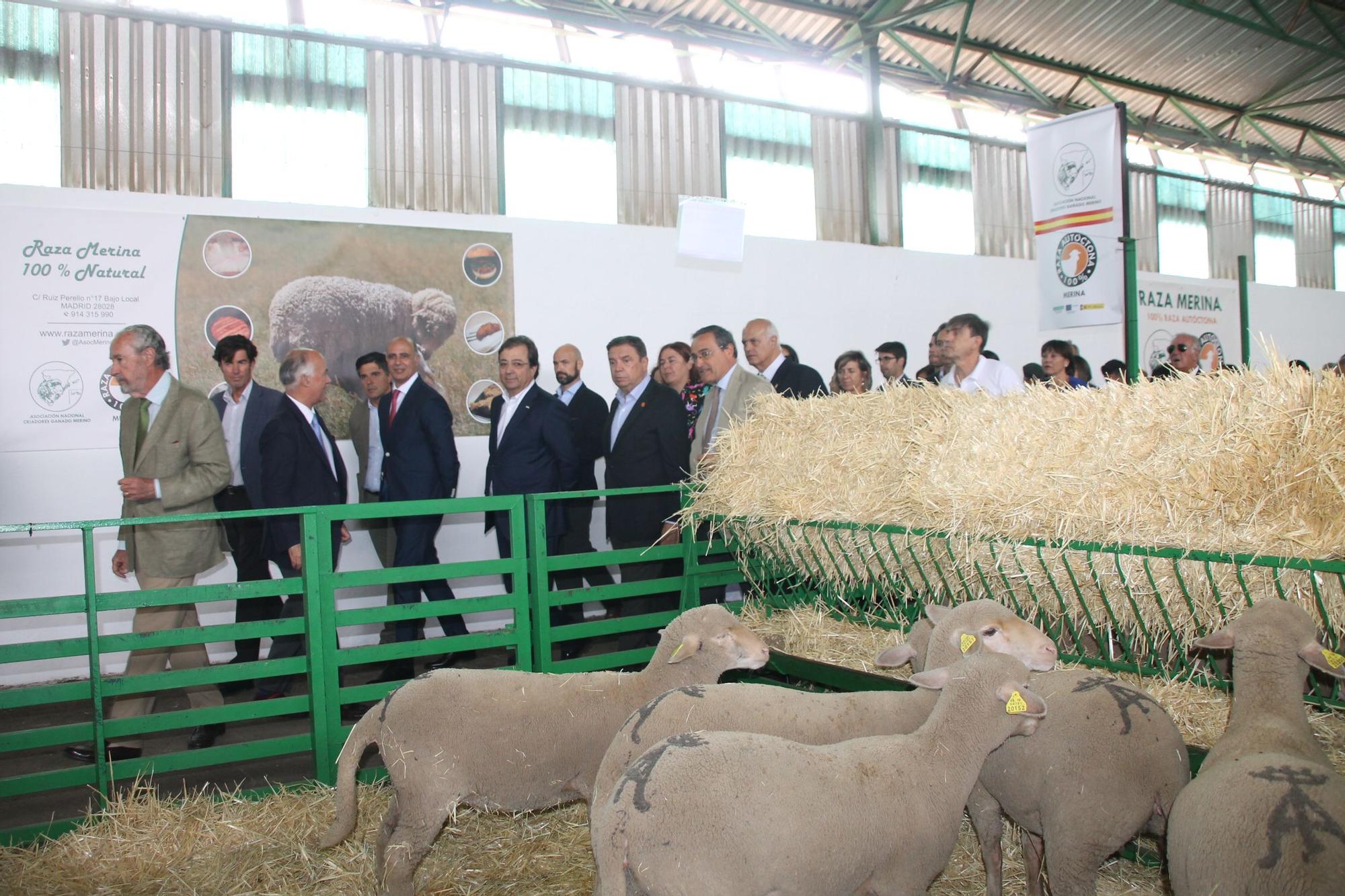 La nave de ovino registra una de las exposiciones más completas.