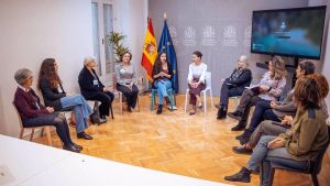 El grupo de expertas para ampliar y mejorar la Lopivi prevé presentar sus primeras propuestas en dos meses.