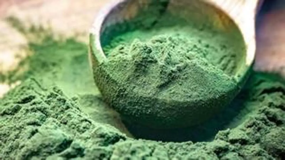 Espirulina, el superalimento que te ayudará a adelgazar y perder barriga
