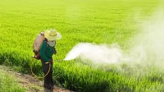 El DDT sigue envenenando las aguas décadas después de su prohibición