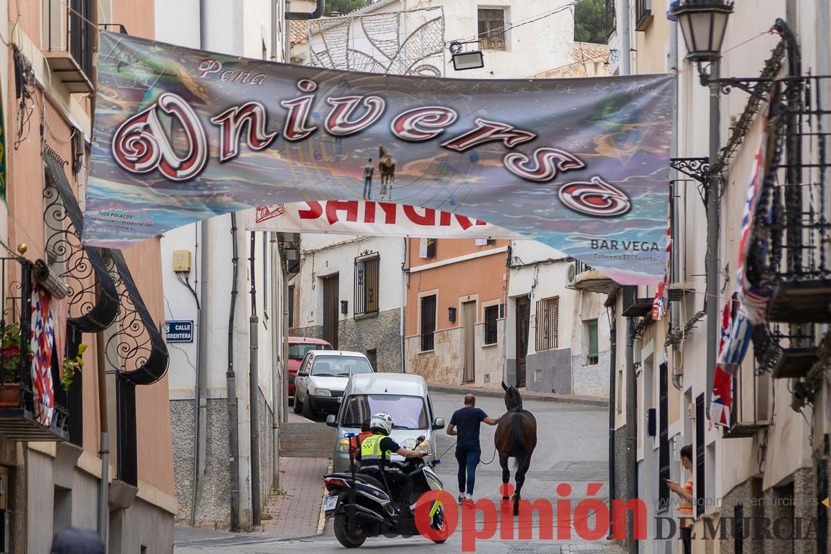 Control veterinario de los Caballos del Vino en Caravaca