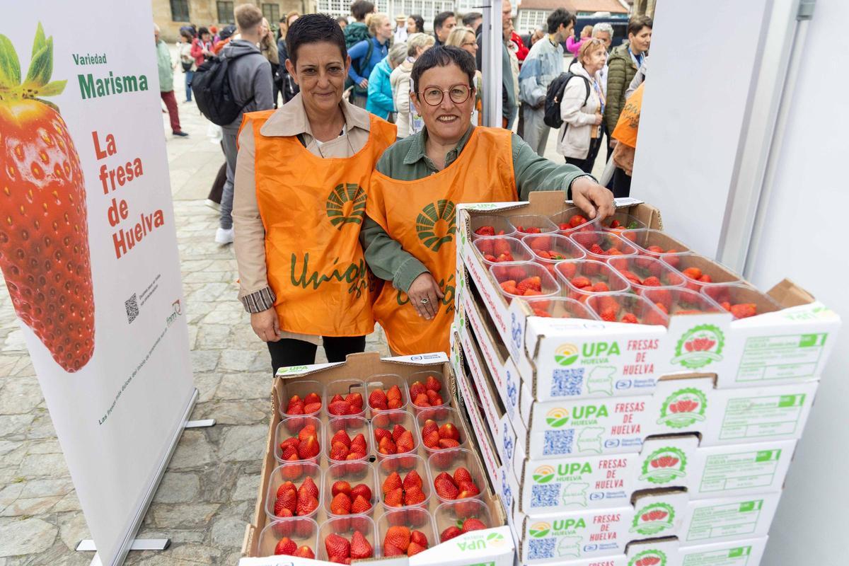 Reparten fresas de Huelva en la plaza del Obradoiro para promover su "calidad y garantía"