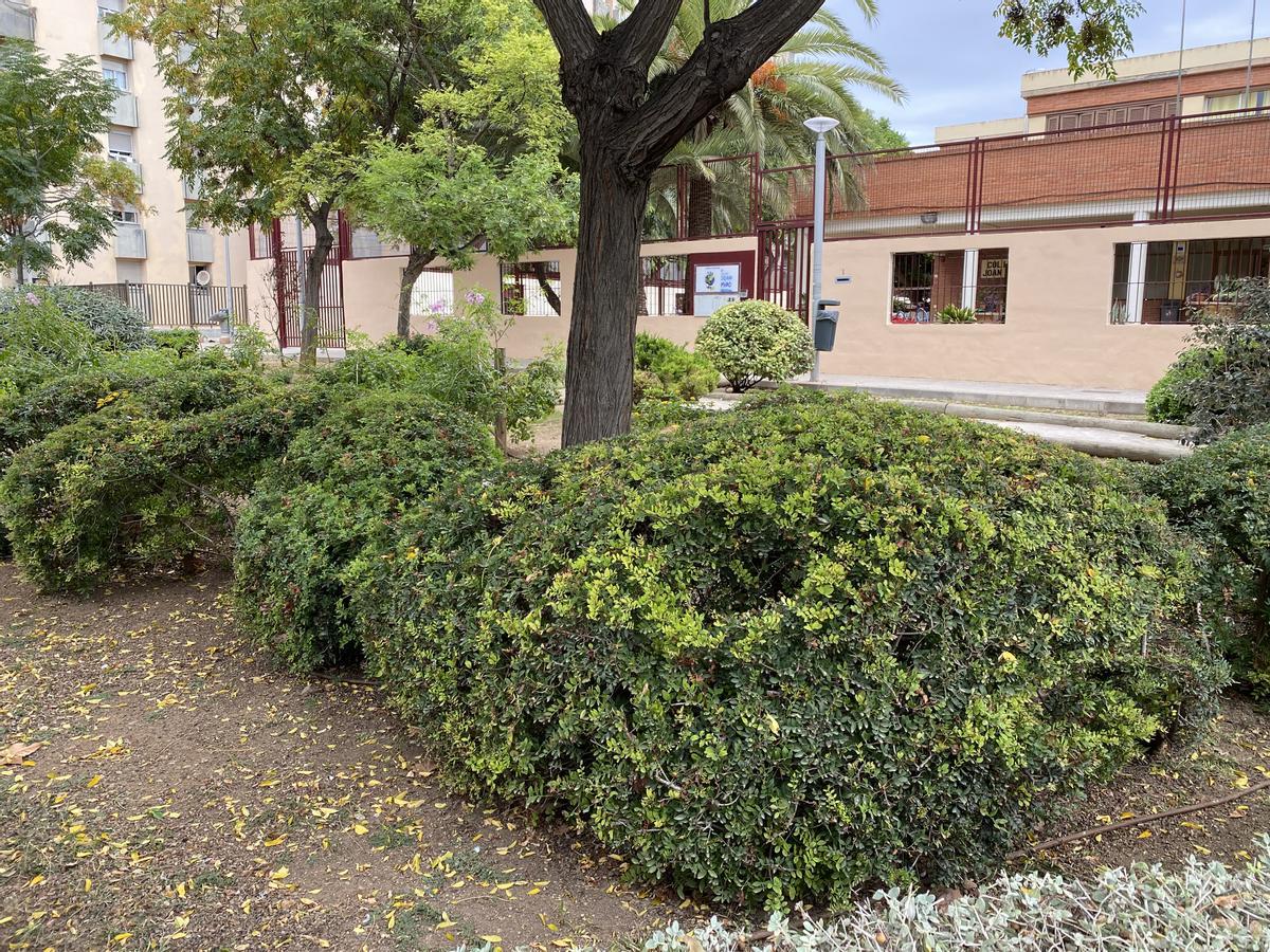 Arbusto modelado con forma de serpiente