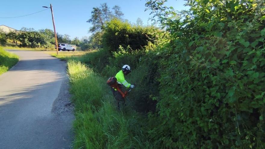 En marcha las labores de conservación y mantenimiento en el arroyo San Miguel en Gijón