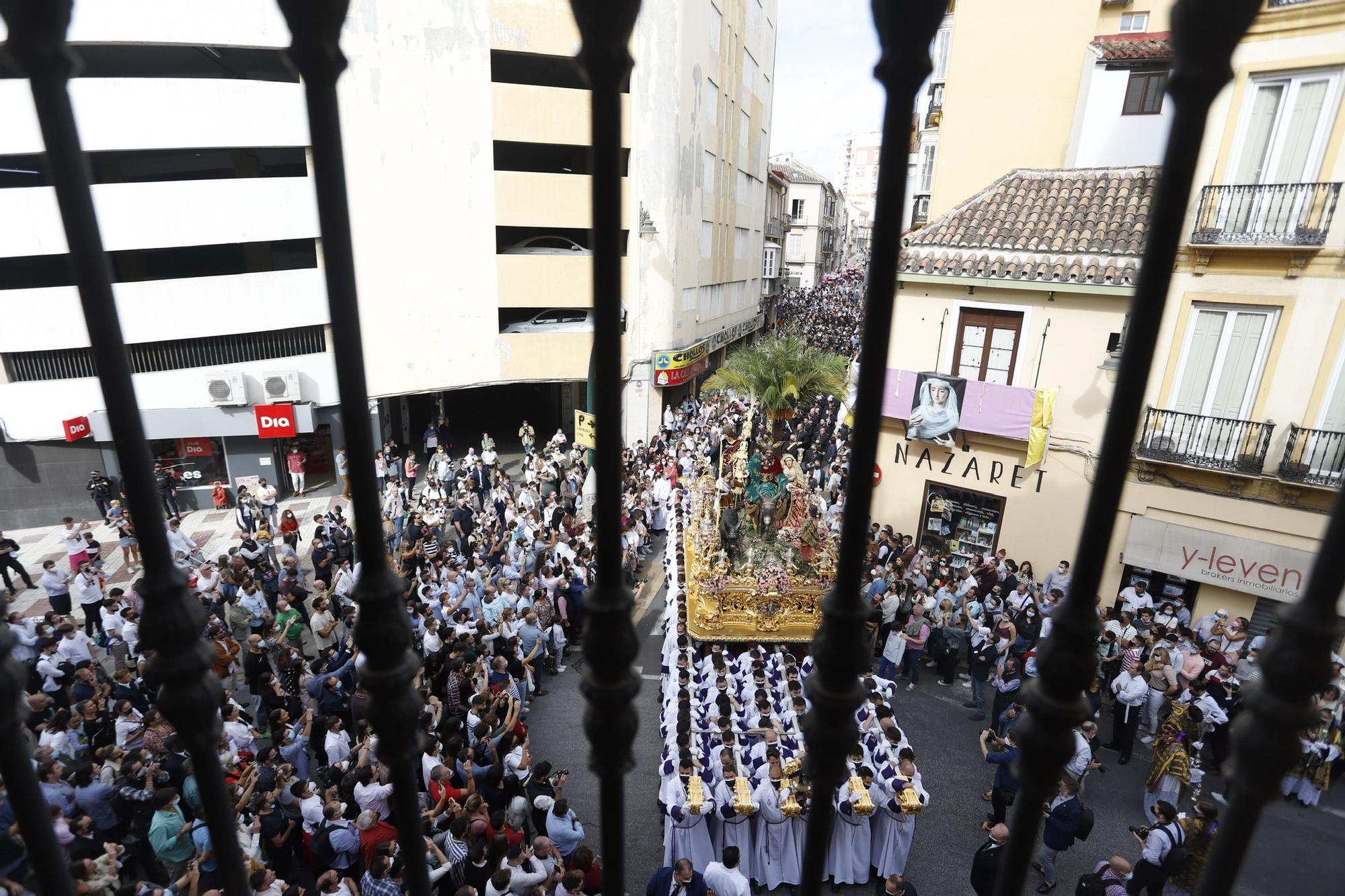 Procesión Magna de Málaga | Pollinica