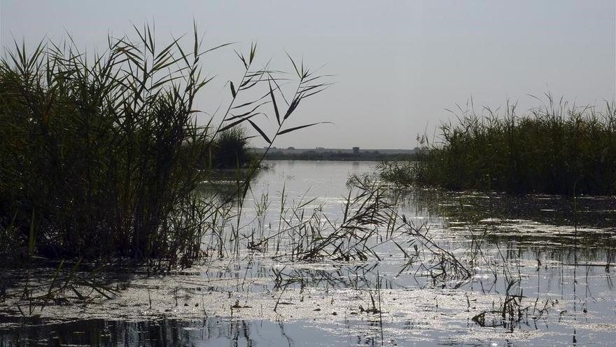 Los ecosistemas naturales liberarán más metano por el calentamiento global