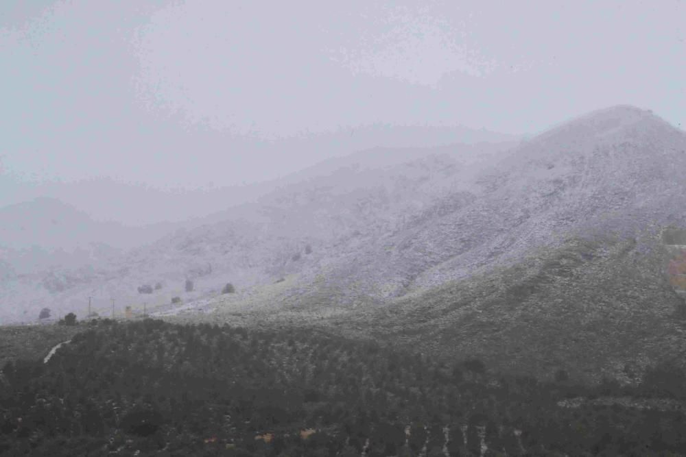 Nieve en Coy, Lorca