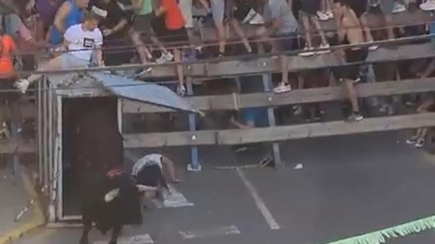 Accidentada &#039;desencajonada&#039; de un toro en los &#039;bous al carrer&#039; de Onda