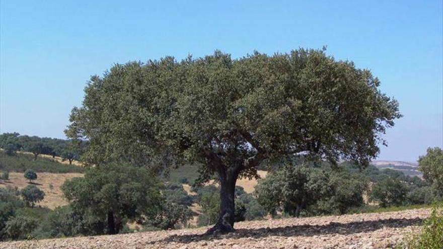 Aragón recordará a las víctimas el sábado 27 de junio