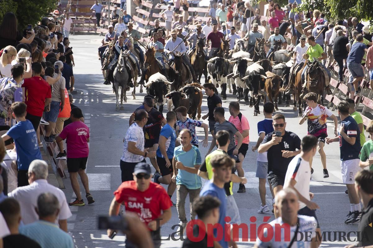 Sexto encierro de las Fiestas de Moratalla
