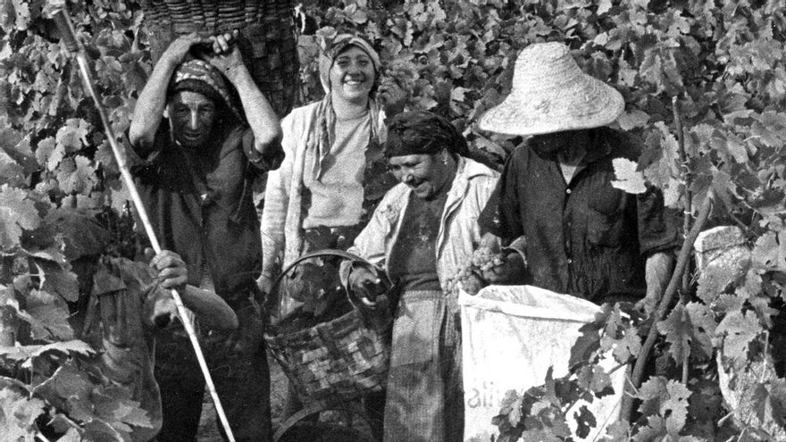 La &#039;sangre&#039; del campo: así es (y era) la vendimia en Galicia