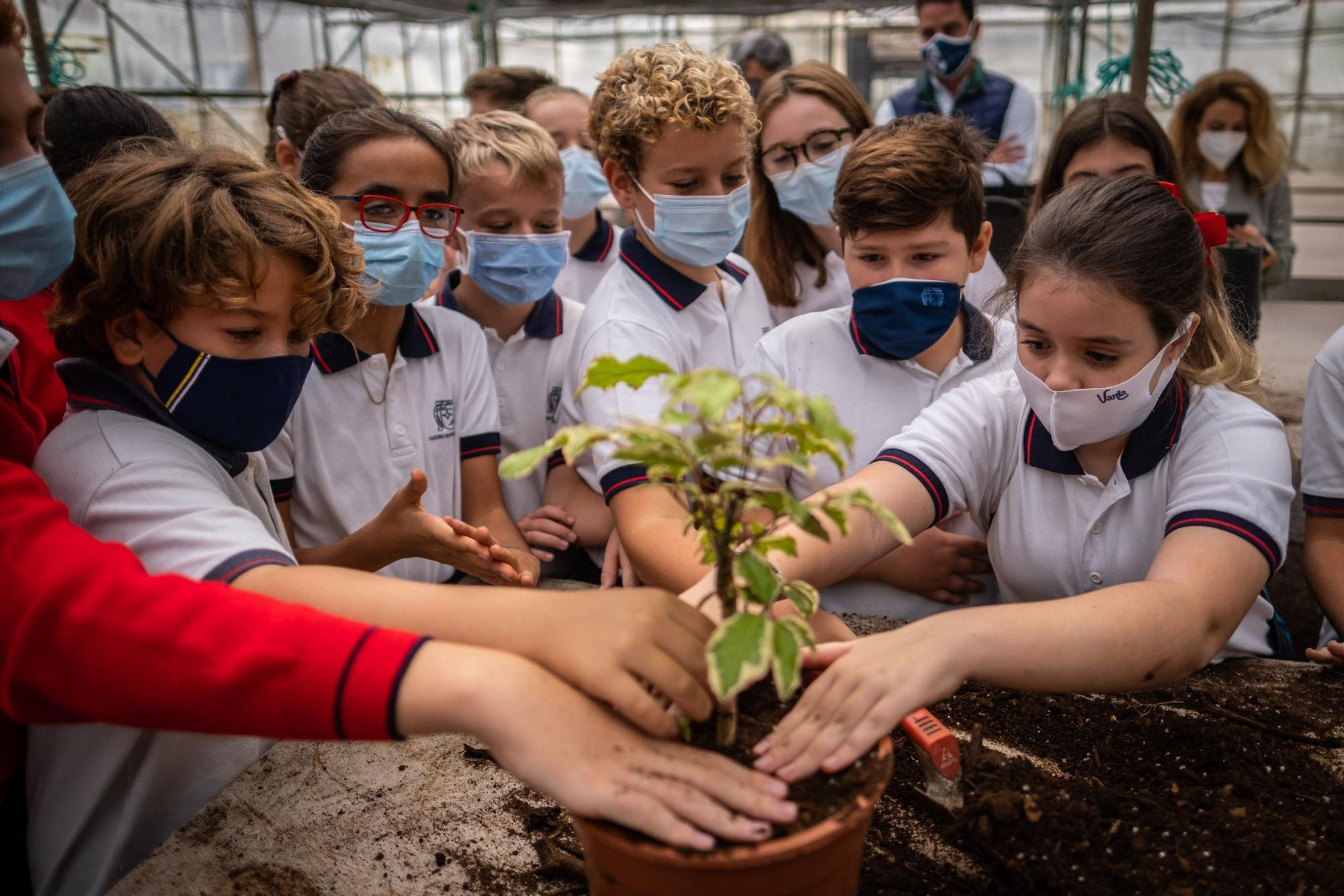 Visita a la fábrica de los jardines