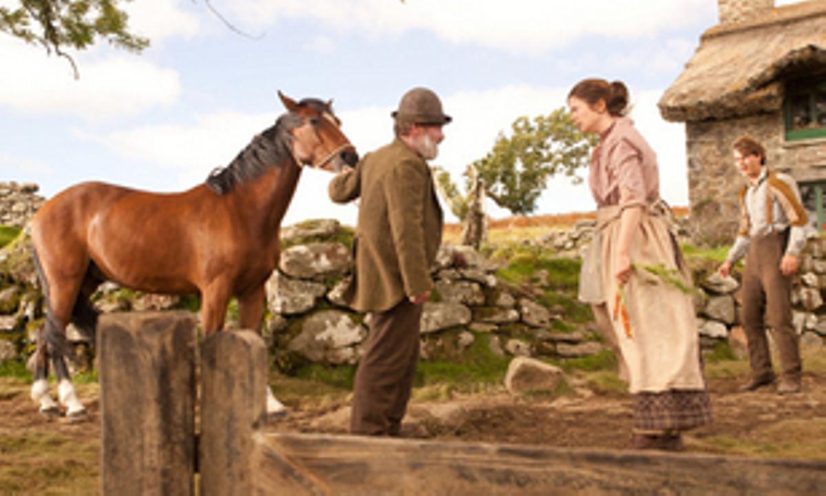 War horse (Caballo de batalla)