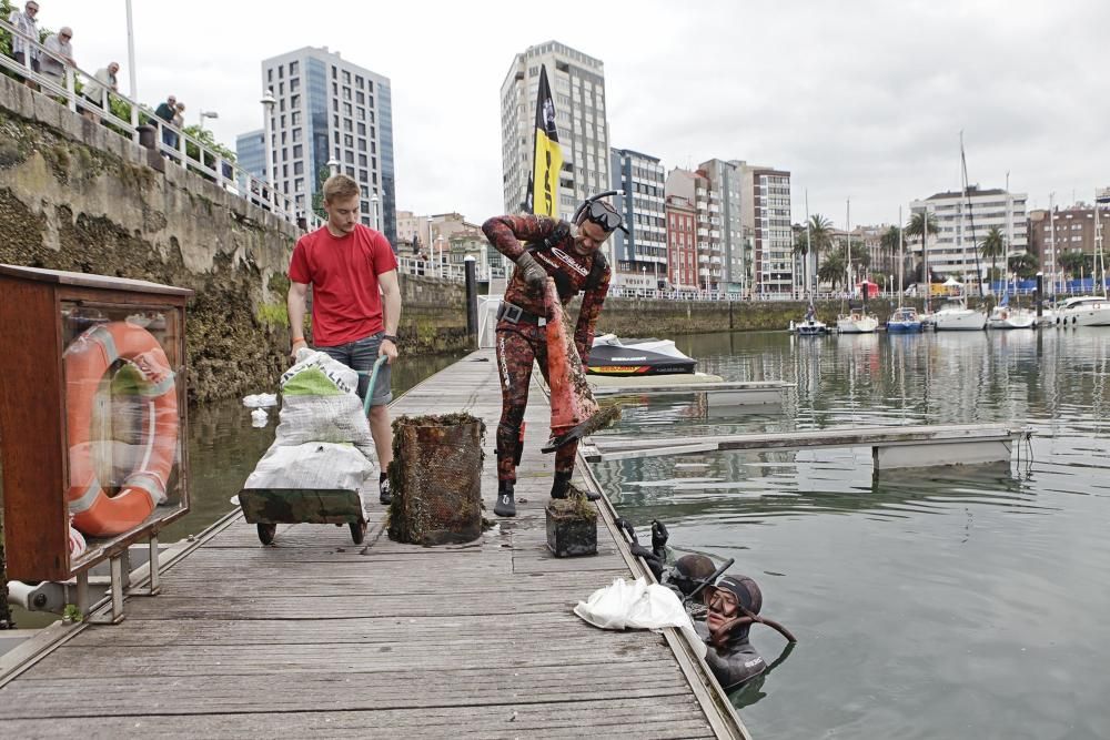 Labores de recogida de basura del fondo del muelle