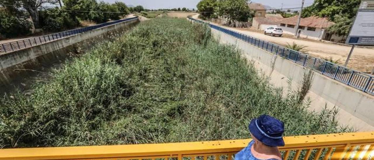 Una mujer pasa por uno de los puentes que cruza el río, donde se acumulan tantas cañas y carrizos desde hace meses que ni siquiera se puede ver el fondo del cauce.