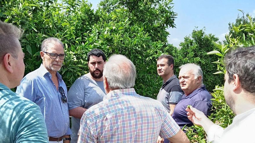El pedrisco deja 20 millones en daños en Castellón y los agricultores piden ayudas urgentes