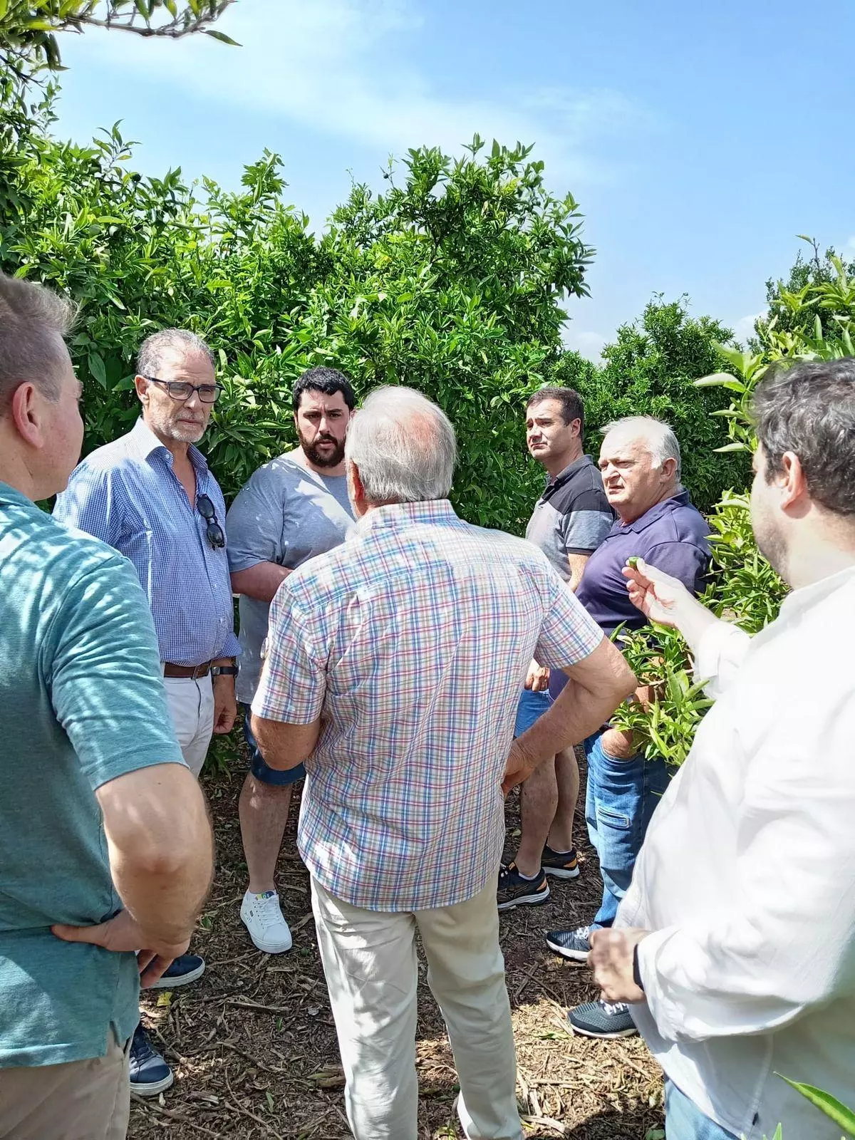 El pedrisco deja 20 millones en daños en Castellón y los agricultores piden ayudas urgentes