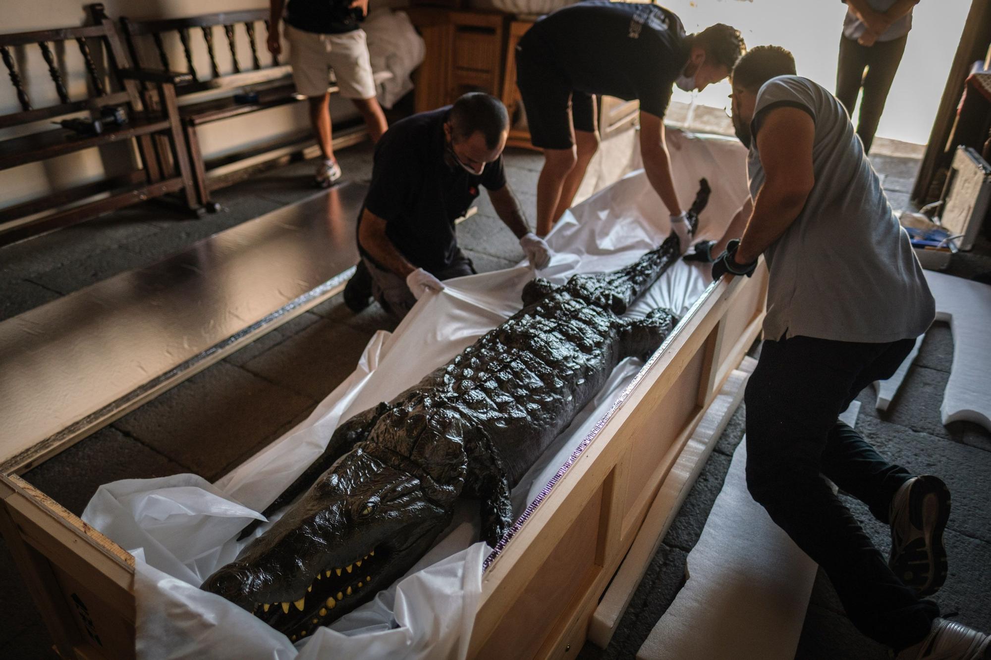 Traslado de la Virgen y el caimán de Las Angustias