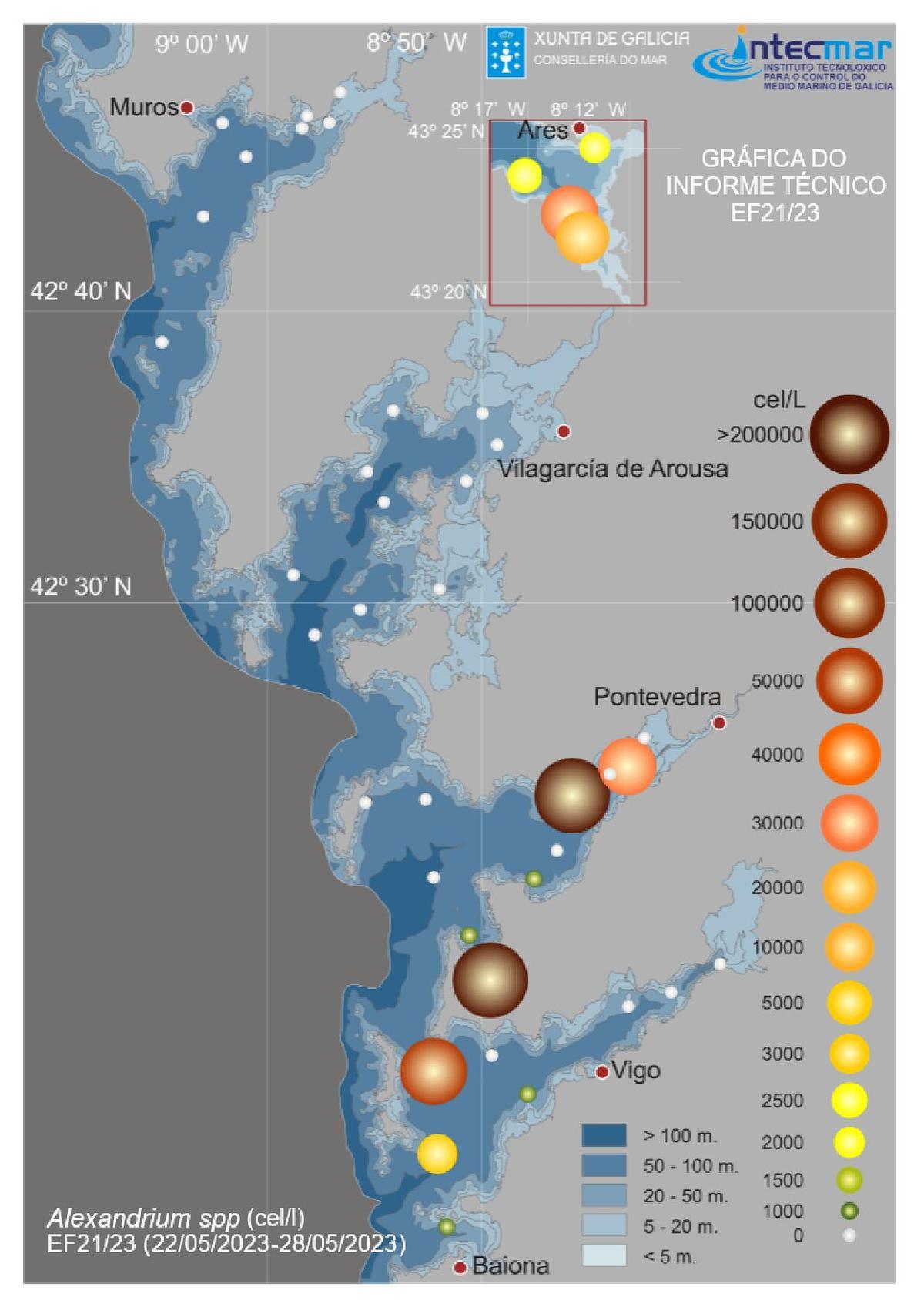 Gráfico que muestra la gran presencia de dinoflagelados causantes de la toxina paralizante en la ría de Pontevedra.   | //  INTECMAR