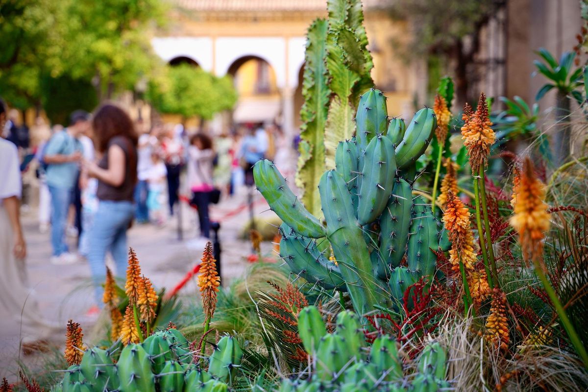 Una de las propuestas del festival Flora 2024.