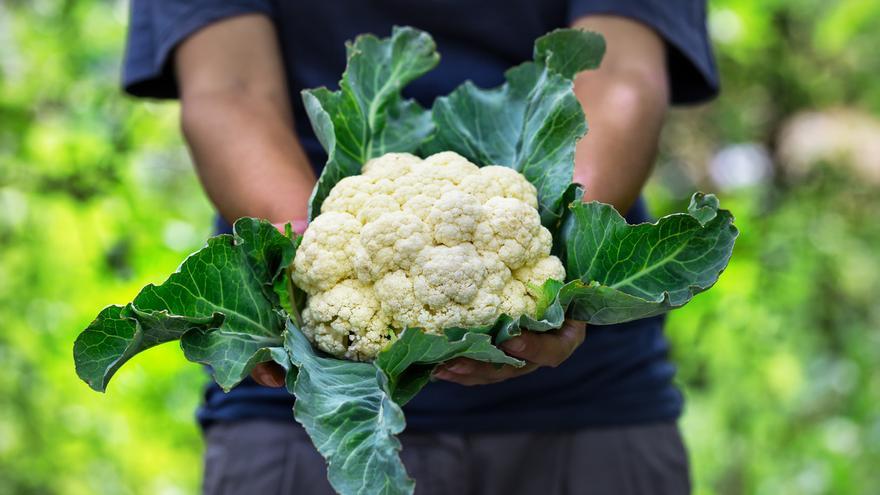 Trucos para perder peso con la coliflor