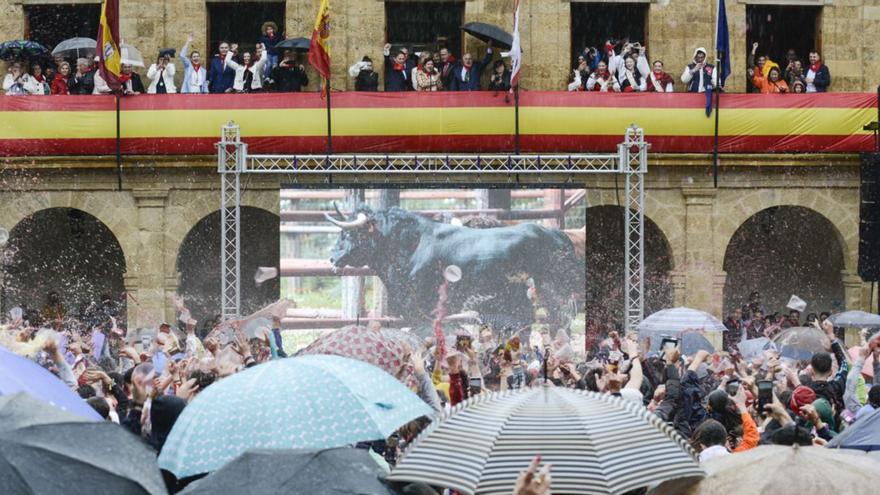 El toro de Benavente, &quot;Comediante&quot;, se prepara de modo &quot;exhaustivo&quot; para la carrera del día 29