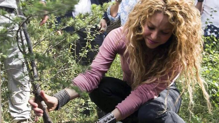 Shakira declara este jueves ante una jueza por fraude a Hacienda