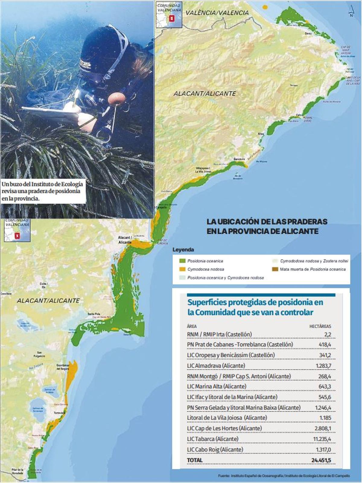Mapa de la posidonia en la provincia de Alicante