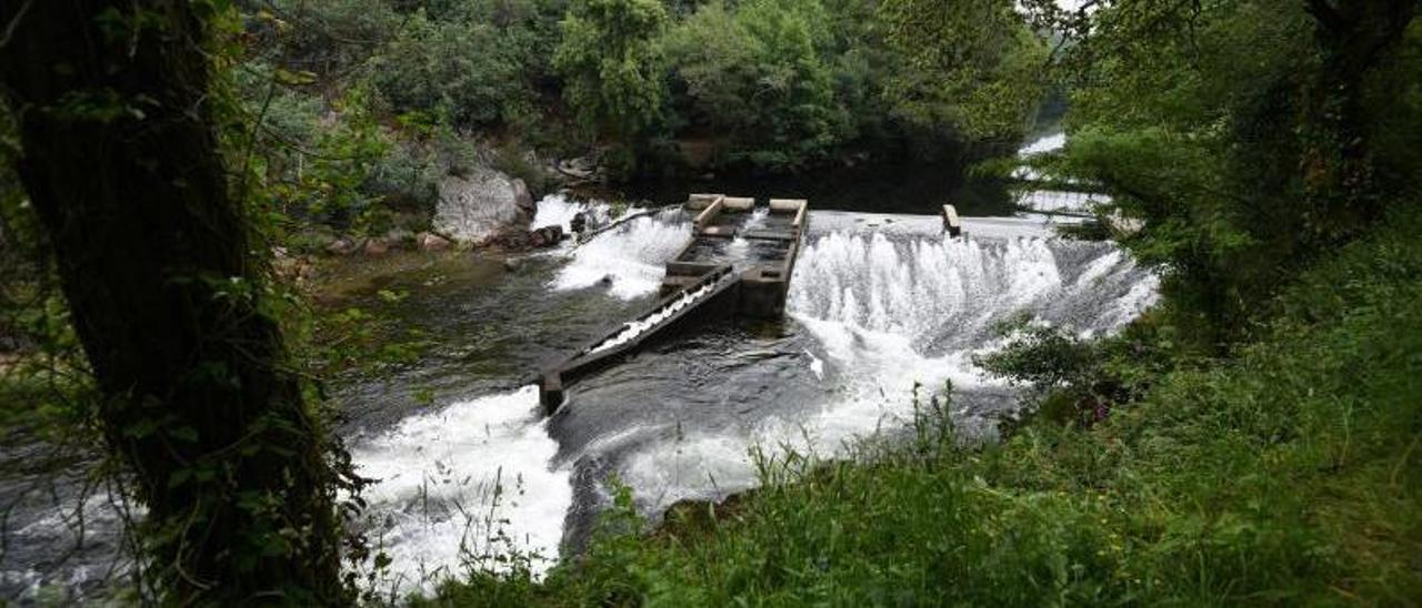 Presa de Monte Porreiro del río Lérez, donde se encuentra la captación de agua para la población.