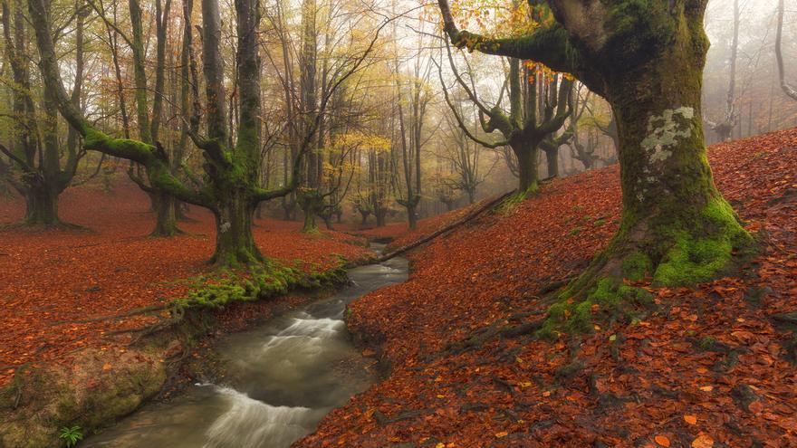 Gorbeia: Naturaleza, leyendas y aire puro en el corazón de Bizkaia