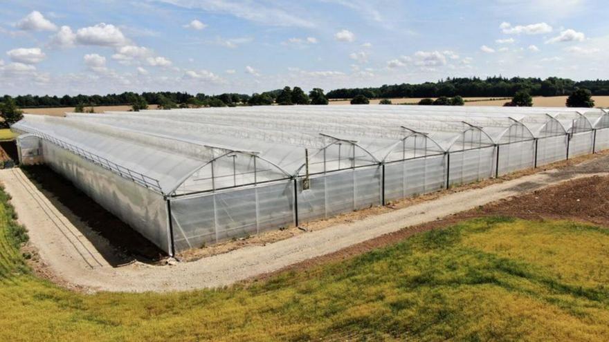 Nuevo sistema agrovoltaico en invernaderos de J. Huete International