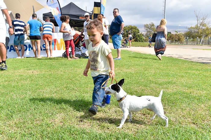 II Feria de mascotas, en Maspalomas