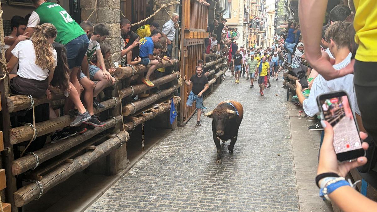 Galería: así está viviendo Morella la Setmana de Bous de Sant Roc.