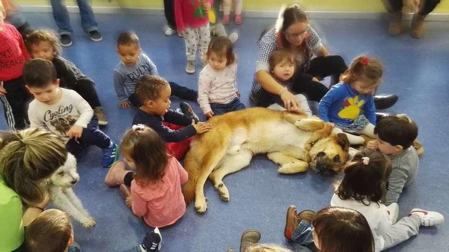 Escolares de O Tombo acarician a un perro. // Fdv