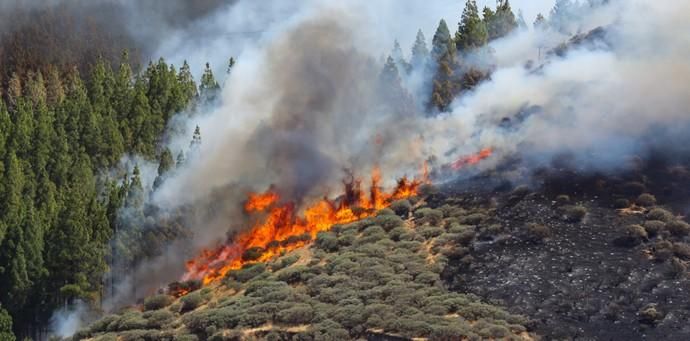 Incendio en Artenara (Gran Canaria)