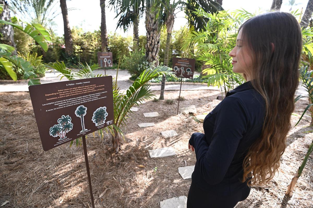 Paneles informativos instalados recientemente en el jardín Huerto del Cura de Elche