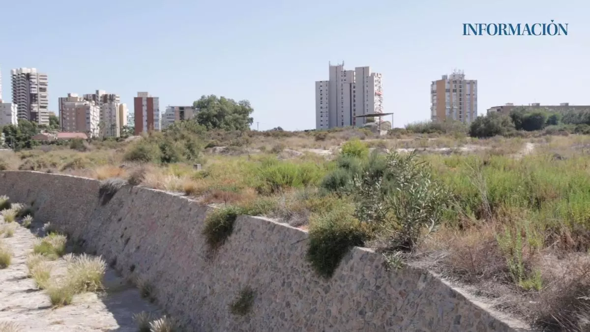 Alicante aprueba cambios en el nuevo sector de La Albufereta y fecha las obras en 2027