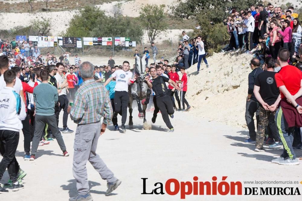 Entrenamiento Caballos del Vino